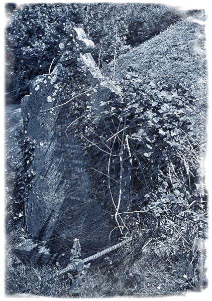 St David Church Yard.jpg